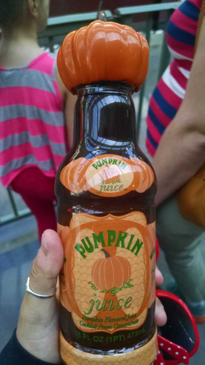 Harry Potter World - 12