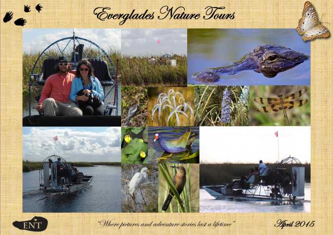 Everglades - 15