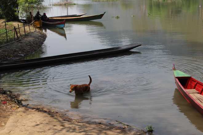 Hpa-an, Sadan Cave - 11