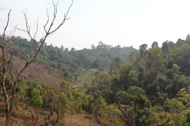 Kalaw-Inle Lake Trek, Day 1 - 11