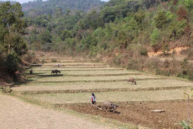 Kalaw-Inle Lake Trek, Day 1 - 12