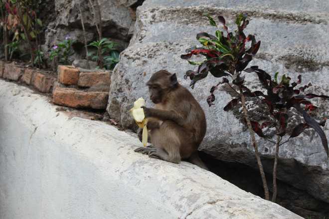 Hpa-An, 2nd Cave - 14