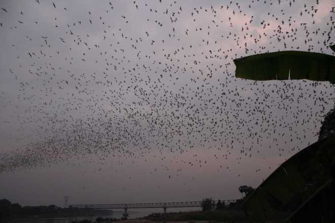 Hpa-An, Bat Cave - 14