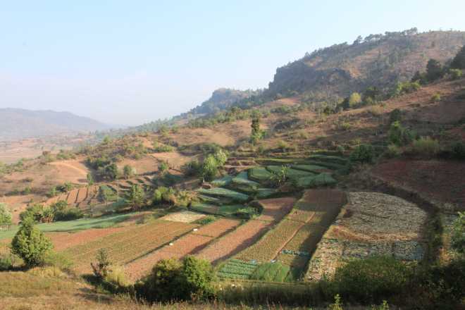Kalaw-Inle Lake Trek, Day 2 - 1