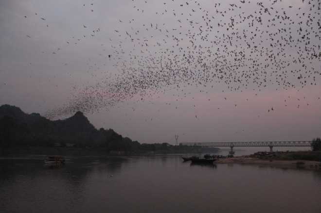 Hpa-An, Bat Cave - 16