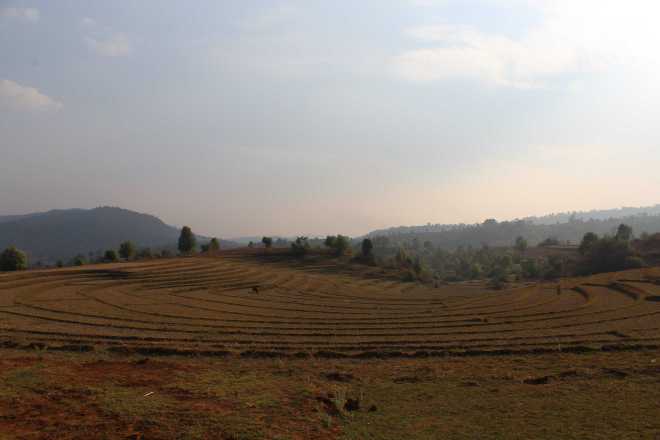 Kalaw-Inle Lake Trek, Day 2 - 17