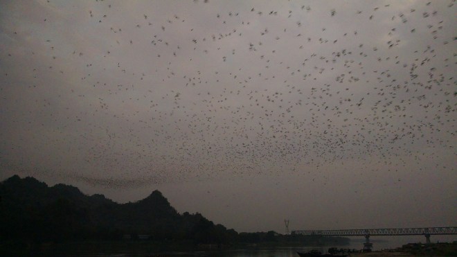 Hpa-An, Bat Cave - 18