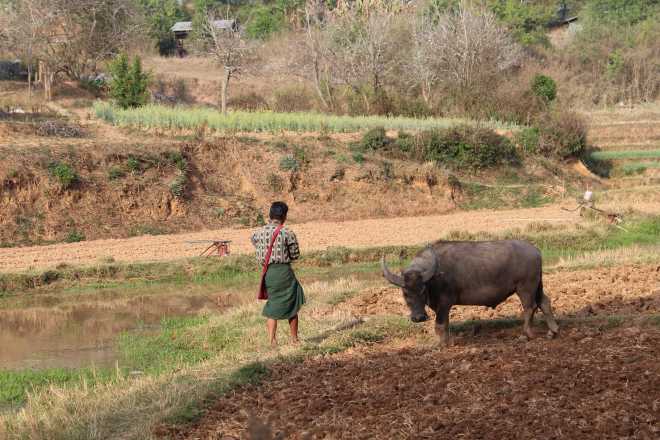 Kalaw-Inle Lake Trek, Day 1 - 20