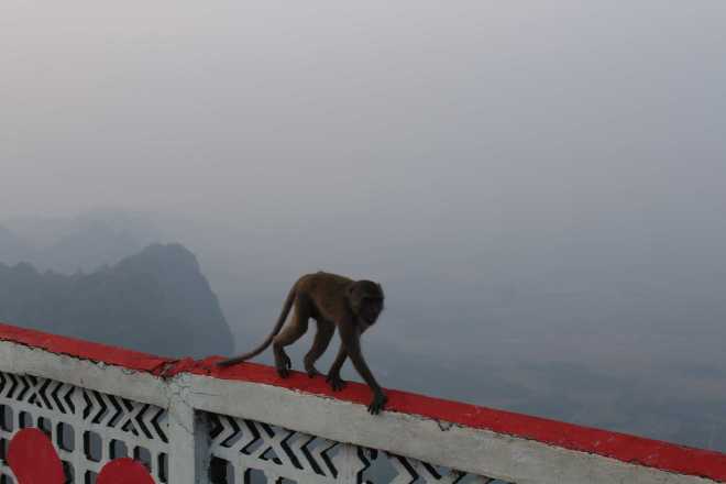 Hpa-An, Mt. Zwekabin - 21