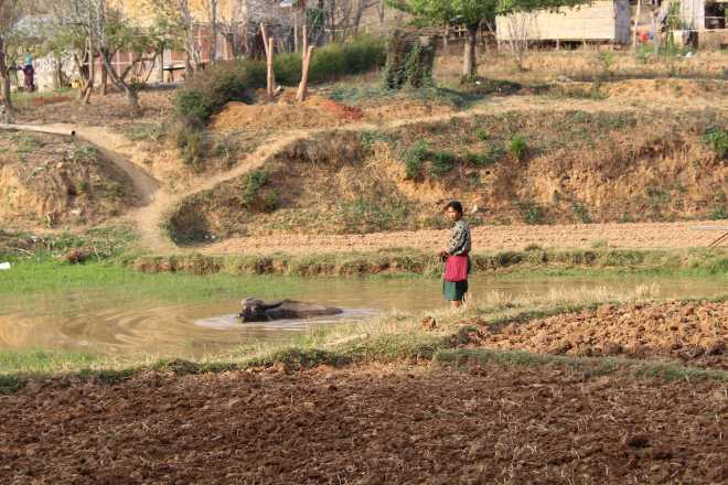 Kalaw-Inle Lake Trek, Day 1 - 21