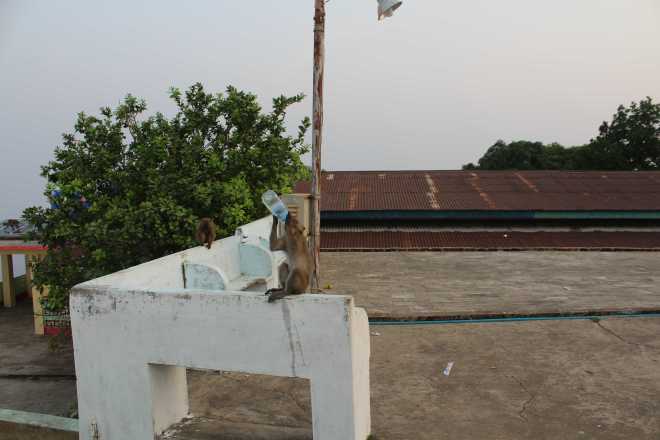 Hpa-An, Mt. Zwekabin - 22