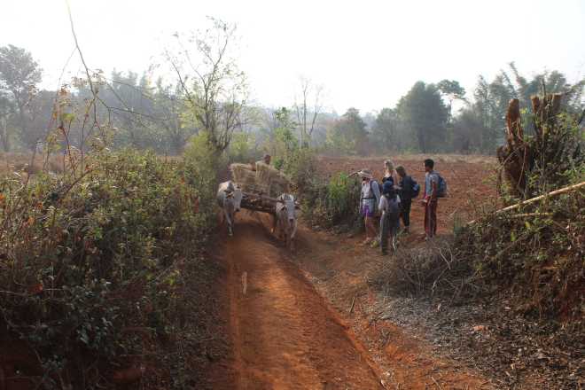 Kalaw-Inle Lake Trek, Day 3 - 3