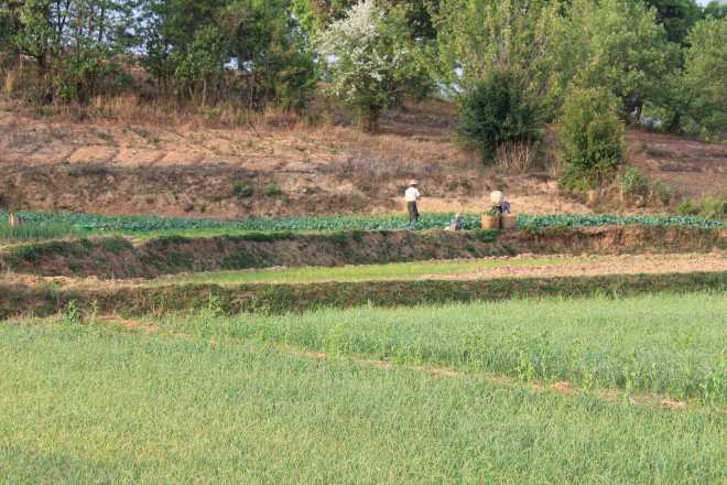 Kalaw-Inle Lake Trek, Day 1 - 34