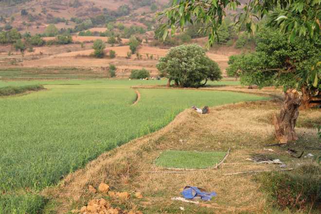 Kalaw-Inle Lake Trek, Day 1 - 35