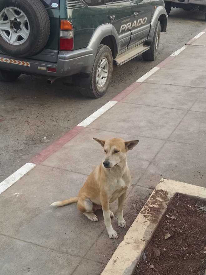 Kalaw-Inle Lake Trek, Kalaw - 3