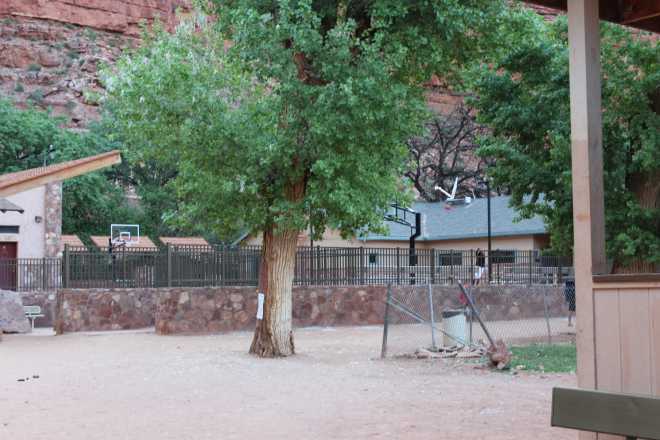 Havasupai, Hike Out - 4