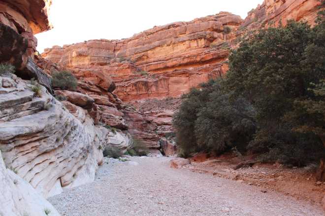Havasupai, Hike Out - 7