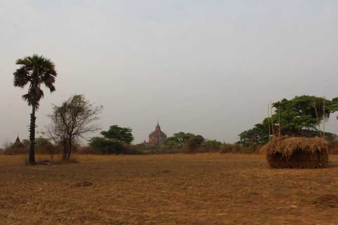 Bagan, Day 2 - 16
