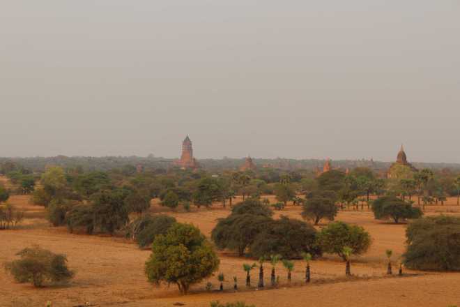 Bagan, Day 2 - 42