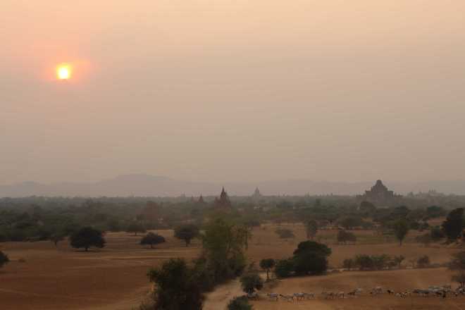 Bagan, Day 2 - 46