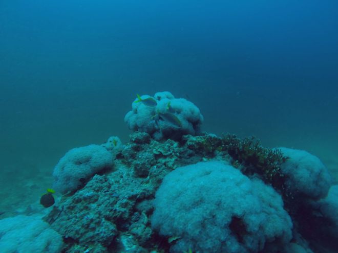 Andaman Sea, Ko Lanta - 10