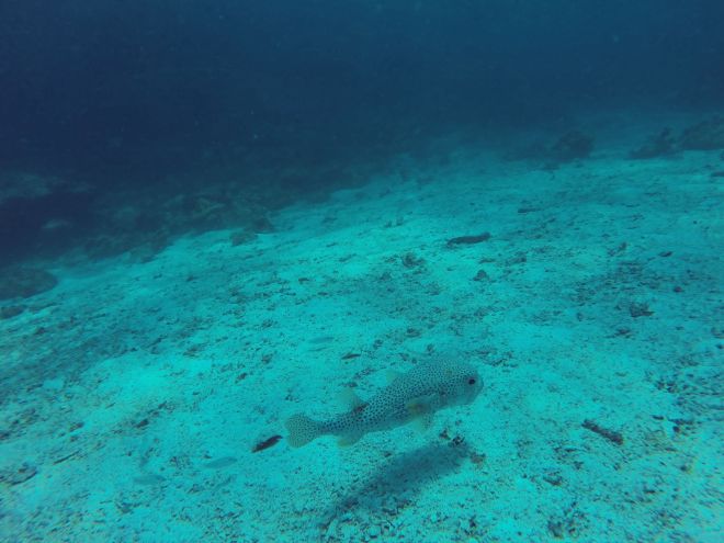 Andaman Sea, Ko Lanta - 11