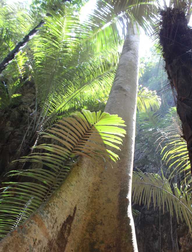 Andaman Sea, Railay Beach - 24