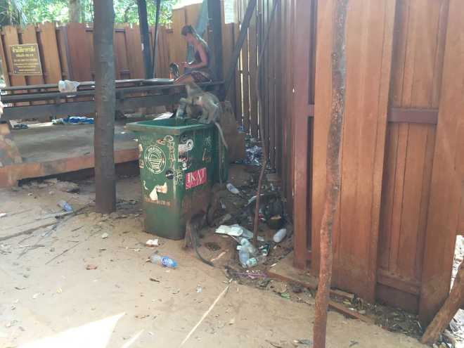 Andaman Sea, Railay Beach - 51